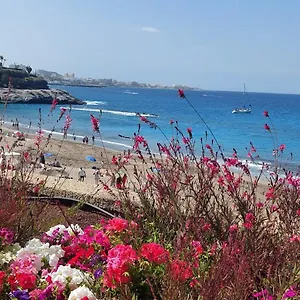 Terrazas Favorite Place Costa Adeje (Tenerife)